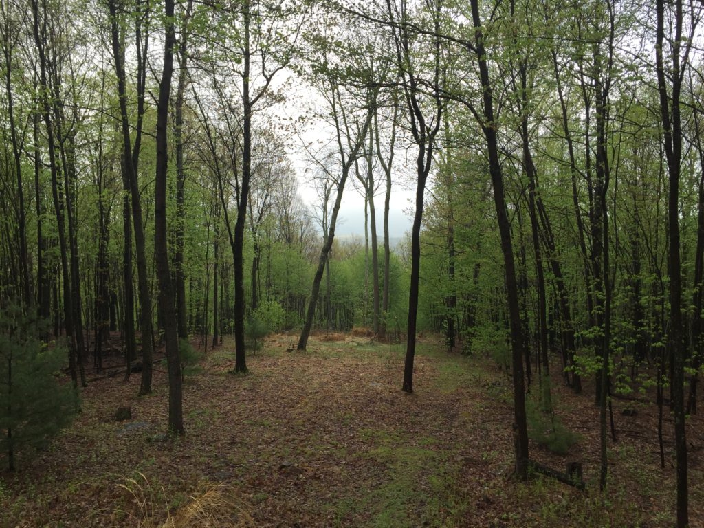 View from the cabin window