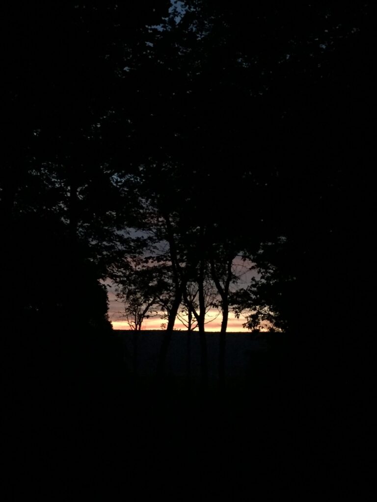 View from the cabin window