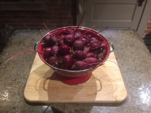 Beets Washed For Slicing