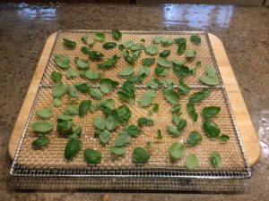 Oregano-Leaves-On-Dehydrator-Tray